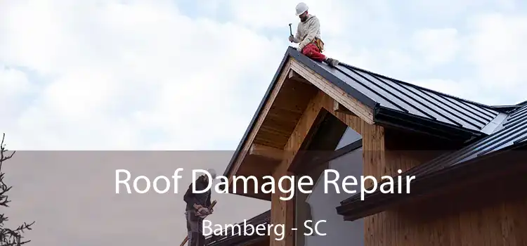 Roof Damage Repair Bamberg - SC