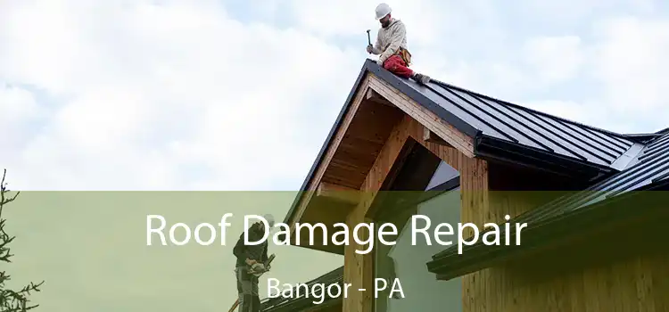 Roof Damage Repair Bangor - PA