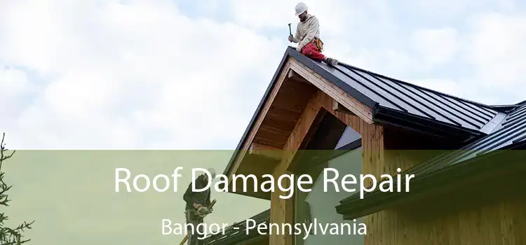 Roof Damage Repair Bangor - Pennsylvania