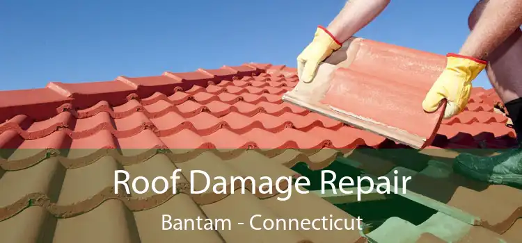 Roof Damage Repair Bantam - Connecticut