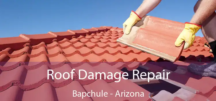 Roof Damage Repair Bapchule - Arizona