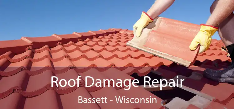 Roof Damage Repair Bassett - Wisconsin