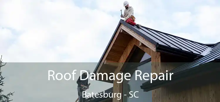 Roof Damage Repair Batesburg - SC