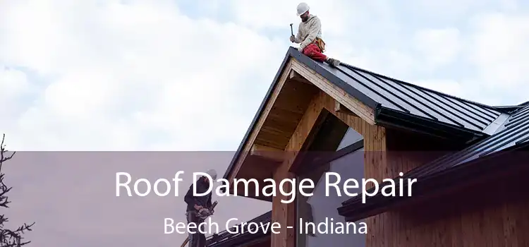 Roof Damage Repair Beech Grove - Indiana