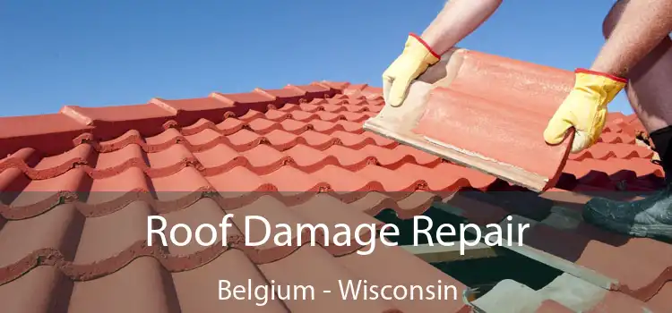 Roof Damage Repair Belgium - Wisconsin