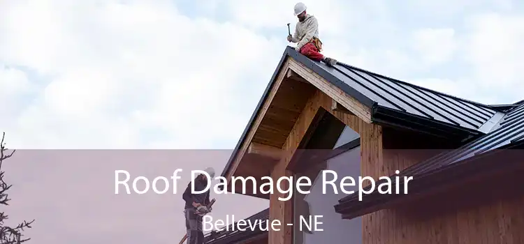 Roof Damage Repair Bellevue - NE