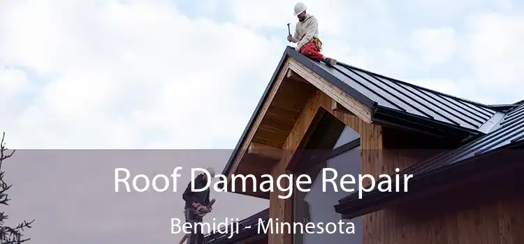 Roof Damage Repair Bemidji - Minnesota