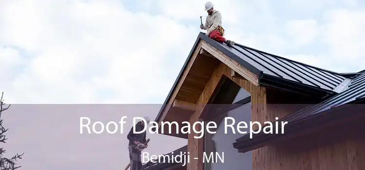 Roof Damage Repair Bemidji - MN