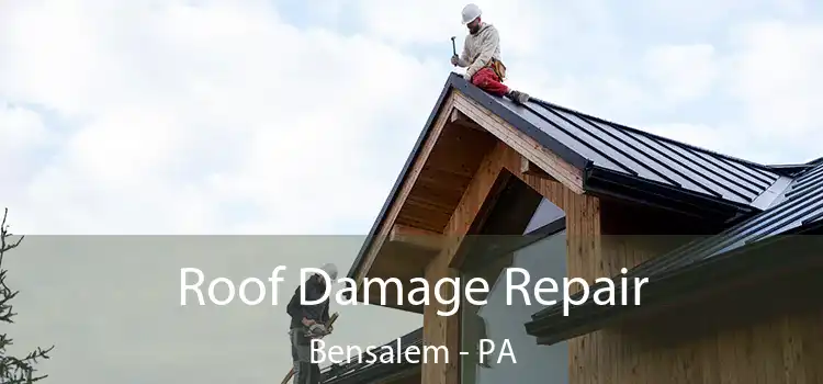 Roof Damage Repair Bensalem - PA