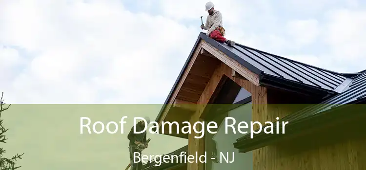 Roof Damage Repair Bergenfield - NJ