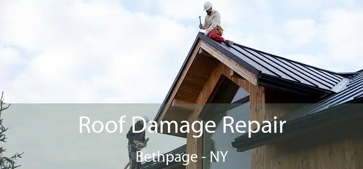 Roof Damage Repair Bethpage - NY