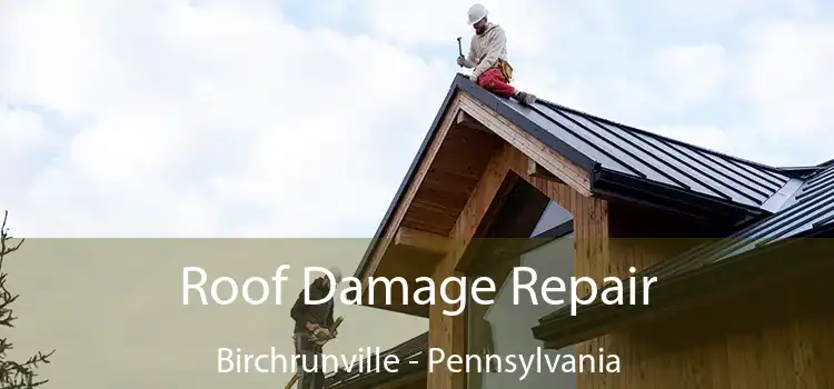 Roof Damage Repair Birchrunville - Pennsylvania