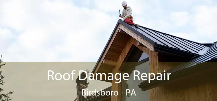 Roof Damage Repair Birdsboro - PA