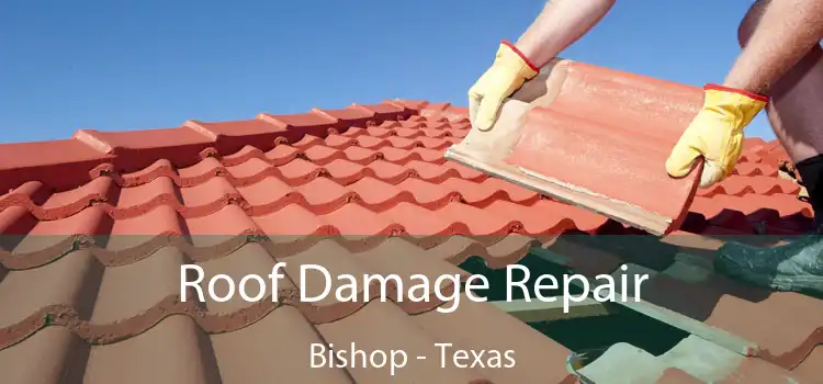 Roof Damage Repair Bishop - Texas