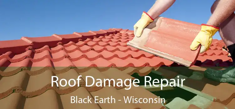 Roof Damage Repair Black Earth - Wisconsin