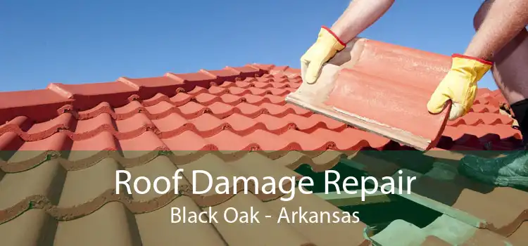 Roof Damage Repair Black Oak - Arkansas