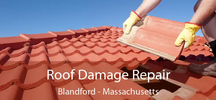 Roof Damage Repair Blandford - Massachusetts