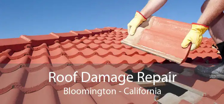 Roof Damage Repair Bloomington - California