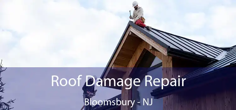 Roof Damage Repair Bloomsbury - NJ