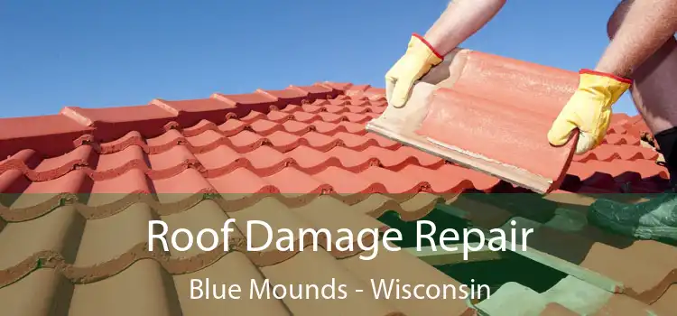 Roof Damage Repair Blue Mounds - Wisconsin