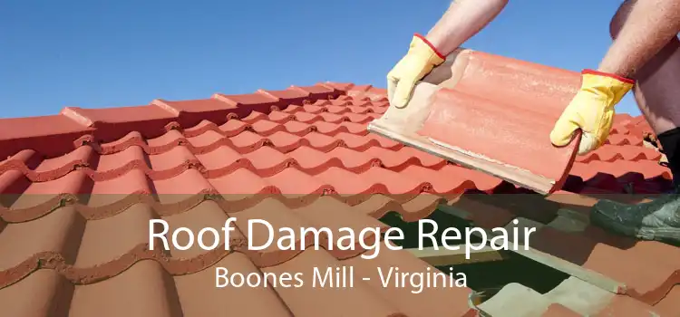 Roof Damage Repair Boones Mill - Virginia