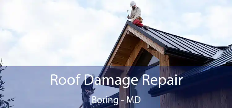 Roof Damage Repair Boring - MD