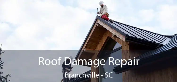 Roof Damage Repair Branchville - SC