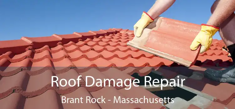 Roof Damage Repair Brant Rock - Massachusetts