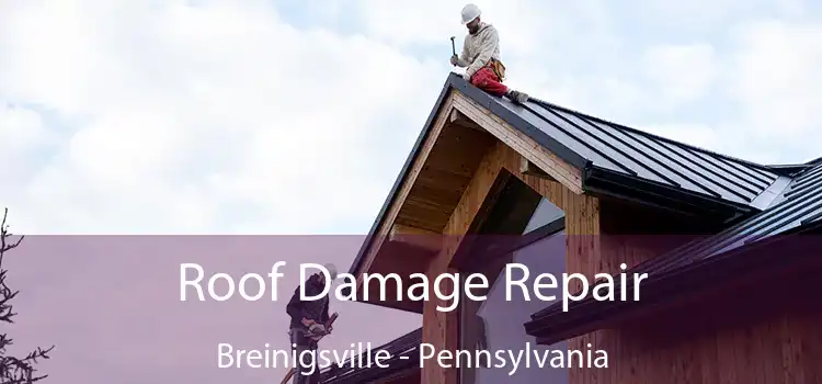 Roof Damage Repair Breinigsville - Pennsylvania