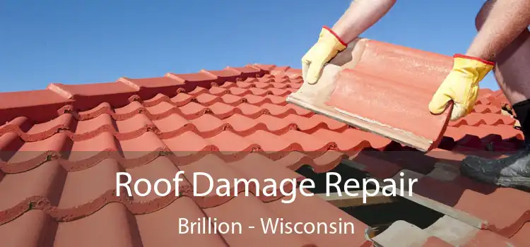 Roof Damage Repair Brillion - Wisconsin