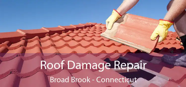 Roof Damage Repair Broad Brook - Connecticut