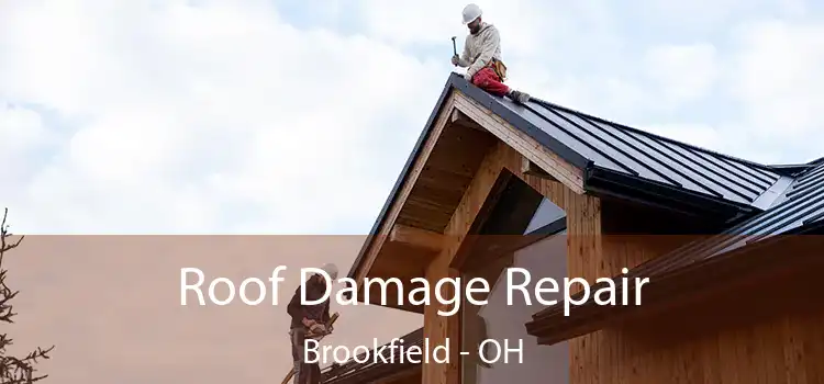 Roof Damage Repair Brookfield - OH