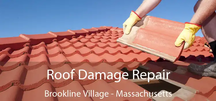 Roof Damage Repair Brookline Village - Massachusetts