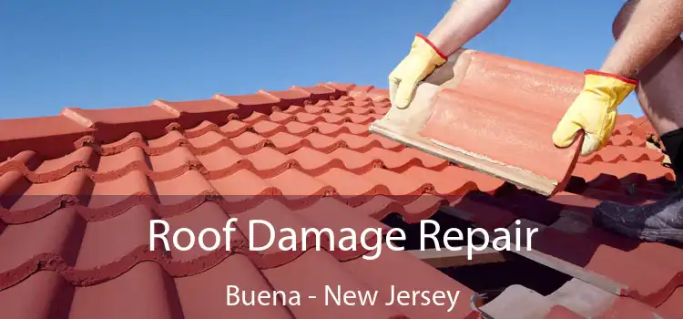 Roof Damage Repair Buena - New Jersey