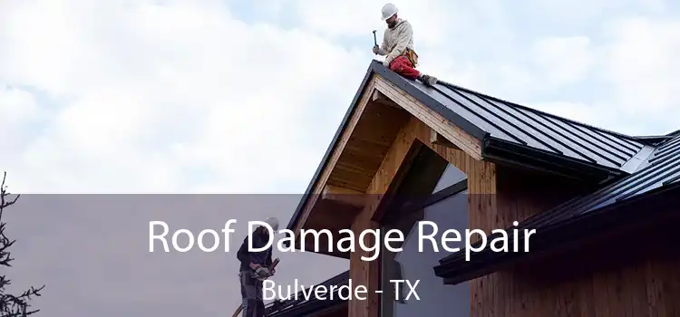 Roof Damage Repair Bulverde - TX