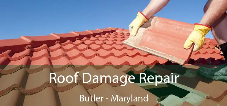 Roof Damage Repair Butler - Maryland