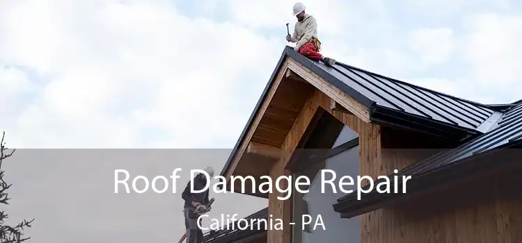 Roof Damage Repair California - PA