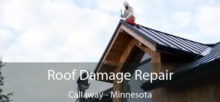 Roof Damage Repair Callaway - Minnesota