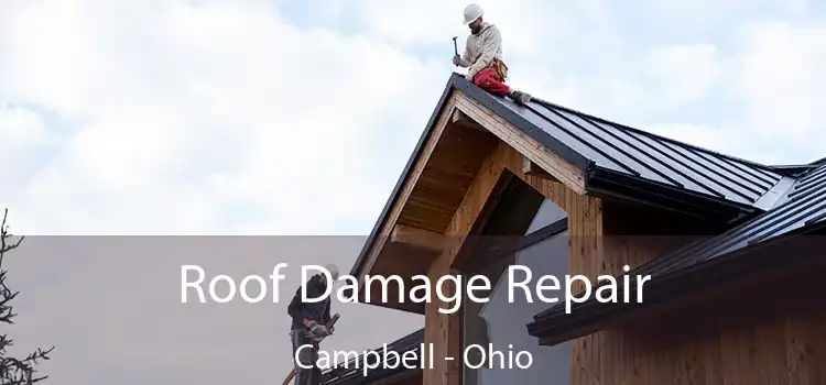 Roof Damage Repair Campbell - Ohio