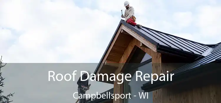 Roof Damage Repair Campbellsport - WI