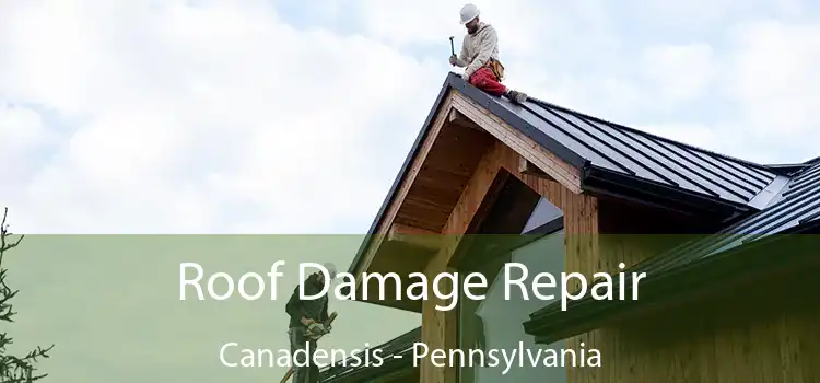 Roof Damage Repair Canadensis - Pennsylvania