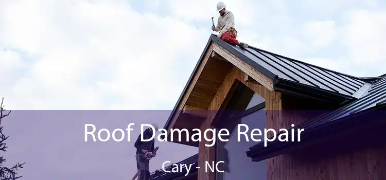 Roof Damage Repair Cary - NC