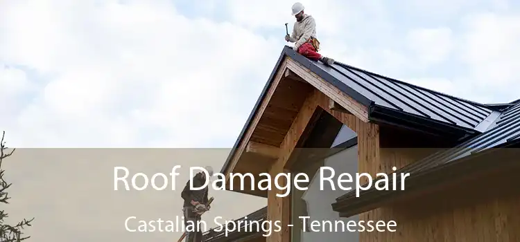 Roof Damage Repair Castalian Springs - Tennessee