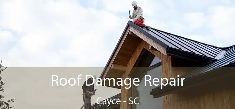 Roof Damage Repair Cayce - SC