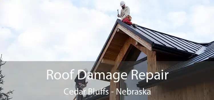 Roof Damage Repair Cedar Bluffs - Nebraska