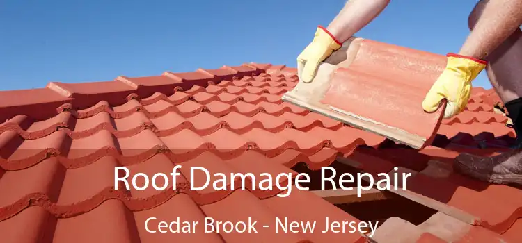 Roof Damage Repair Cedar Brook - New Jersey