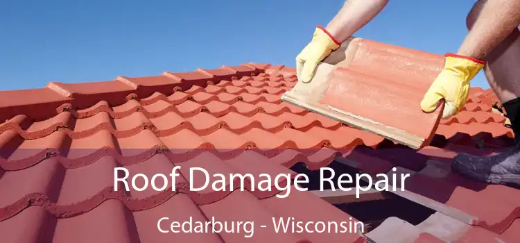 Roof Damage Repair Cedarburg - Wisconsin