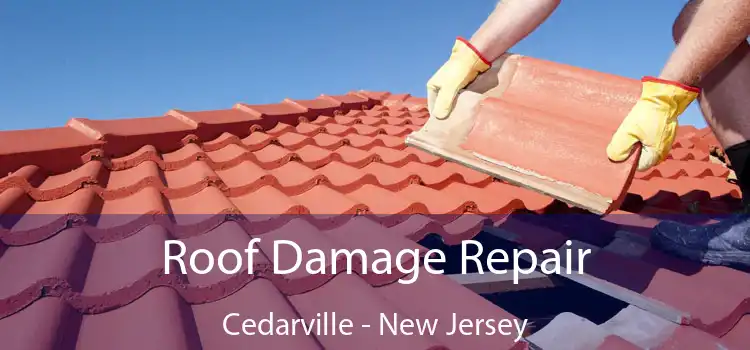 Roof Damage Repair Cedarville - New Jersey