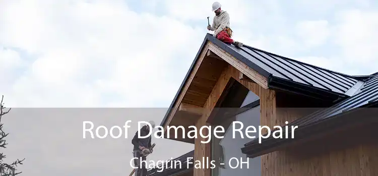 Roof Damage Repair Chagrin Falls - OH