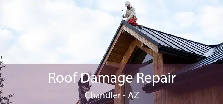 Roof Damage Repair Chandler - AZ